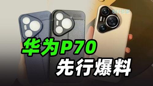 p70名称最新爆料价格,价格揭晓，性价比再升级！
